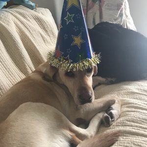 Meet your Posher, Shannon